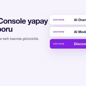 Search Console üretken Yapay Zekâ Raporu